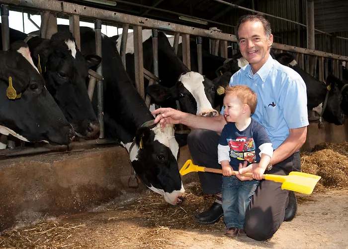 Apartament Newhouse Logies Zevenhoven