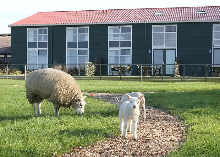 Apartament Newhouse Logies