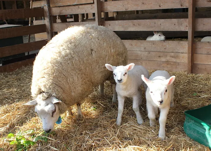 Apartamento Newhouse Logies Zevenhoven