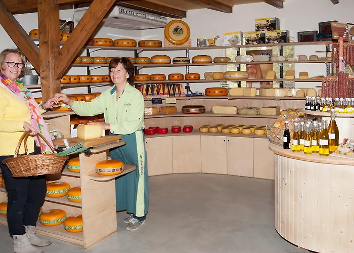 Apartament Newhouse Logies *