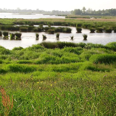 Lägenhet Newhouse Logies Zevenhoven
