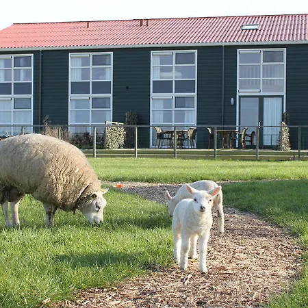 Lägenhet Newhouse Logies