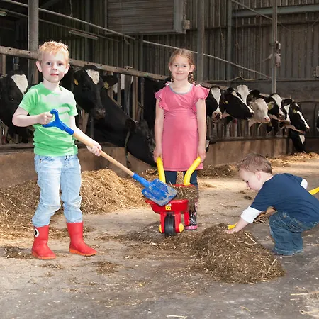 Lägenhet Newhouse Logies